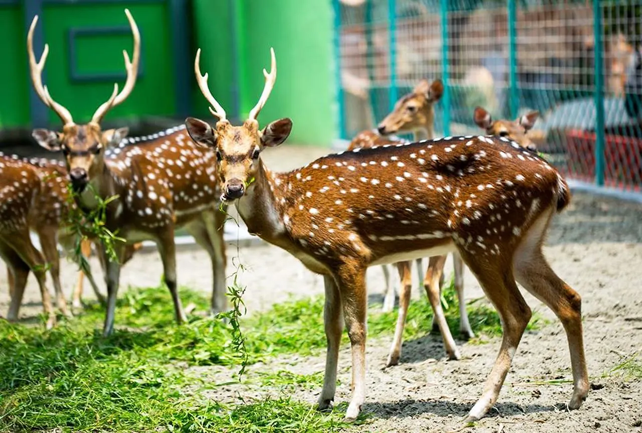 Green View Resort & Convention Center Dhaka